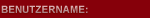 Ihr pers&ouml;nlicher Benutzername (E-Mail)
