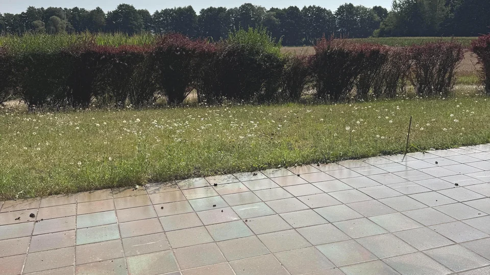 Sonnige Erdgeschosswohnung mit großer Terrasse – klein im Format, groß in den Möglichkeiten